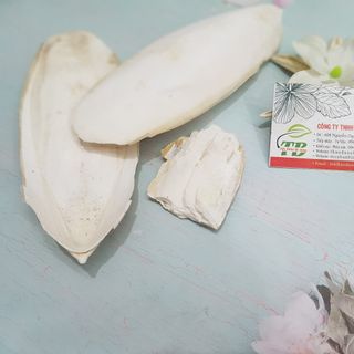Mai Mực ( Ô Tặc Cốt Khô )