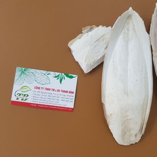 Mai Mực ( Ô Tặc Cốt Khô )