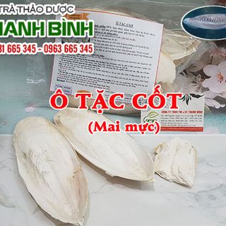 Mai Mực ( Ô Tặc Cốt Khô )