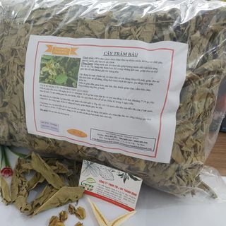 Cây Trâm Bầu