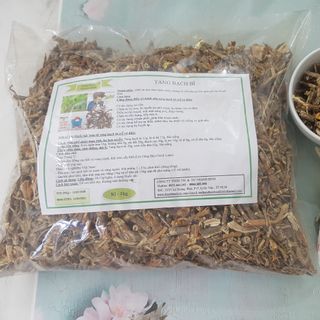 Vỏ Rễ Dâu Tằm ( Tang Bạch Bì )
