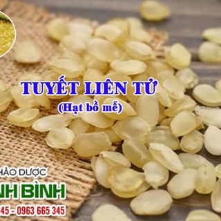Tuyết Liên Tử ( Hạt Bồ Mễ )