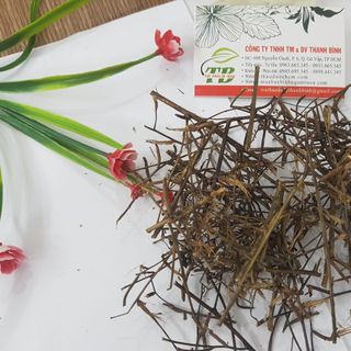 Cây Rau Mương