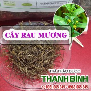 Cây Rau Mương