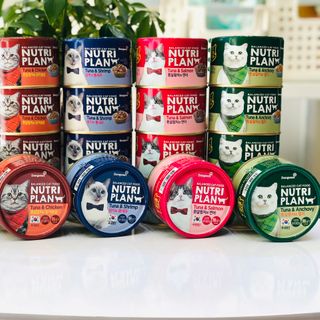 Pate mèo Nutri Plan 160g (Dongwon)