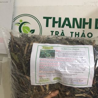 Cỏ Đuôi Chuột ( Cây Mạch Lạc )