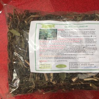 Cỏ Đuôi Chuột ( Cây Mạch Lạc )