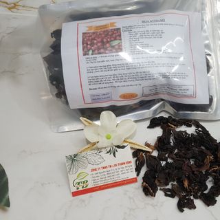 Cây Bụp Giấm (Hoa Atiso Đỏ)