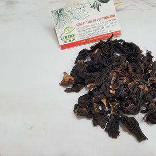 Cây Bụp Giấm (Hoa Atiso Đỏ)
