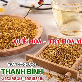 Quế Hoa - Trà Hoa Mộc