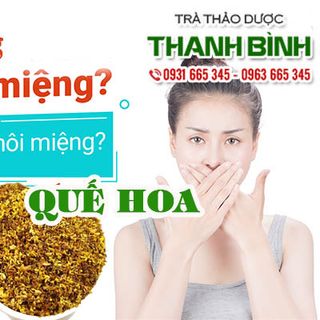 Quế Hoa - Trà Hoa Mộc