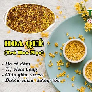 Quế Hoa - Trà Hoa Mộc
