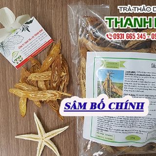 Sâm Bố Chính