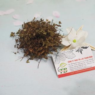 Cây Bòng Bong