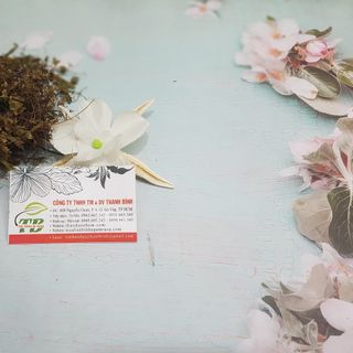Cây Bòng Bong