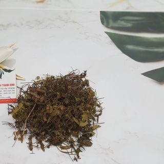 Cây Bòng Bong