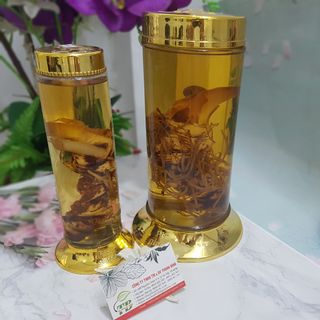 Sâm 7 Lá (Thất Diệp Nhất Chi Hoa)