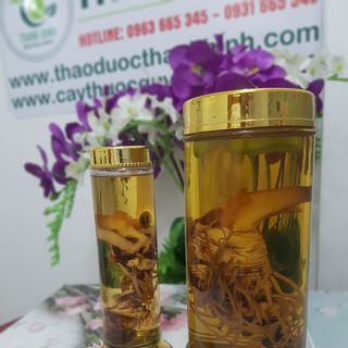 Sâm 7 Lá (Thất Diệp Nhất Chi Hoa)