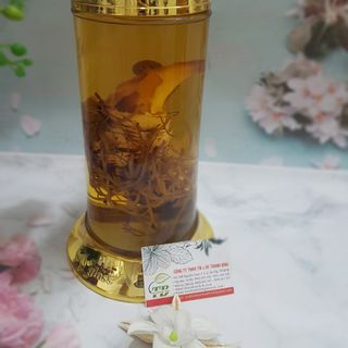 Sâm 7 Lá (Thất Diệp Nhất Chi Hoa)