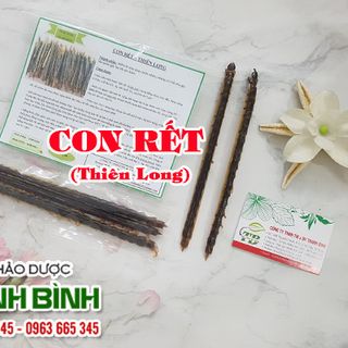 Con Rết Khô (Thiên Long)