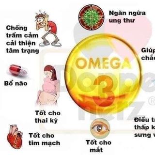 Dầu cá hồi chuẩn Hàn giá sỉ