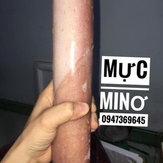 Mực ống