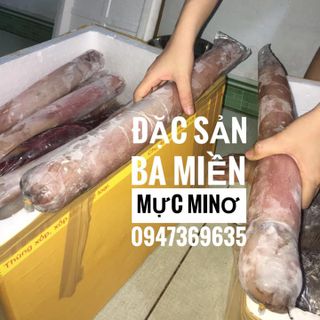 Mực ống