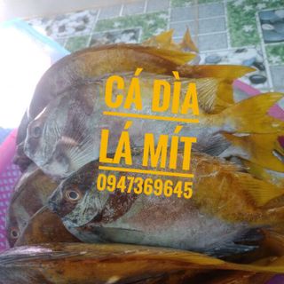𝗖𝗔́ 𝗗𝗜̀𝗔 LÁ MÍT- 𝗦𝗮̉𝗻 𝗽𝗵𝗮̂̉𝗺 𝘁𝘂̛𝗼̛𝗶 𝘀𝗮̣𝗰𝗵 𝗸𝗵𝗼̂𝗻𝗴 𝗰𝗵𝗮̂́𝘁 𝗯𝗮̉𝗼 𝗾𝘂𝗮̉𝗻