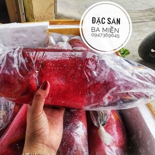 Cá mú đỏ- Đảo Phú Qúy