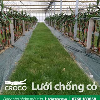 LƯỚI CHỐNG CỎ HIỆU CÁ SẤU CROCO
