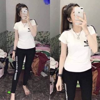 Bộ coton mịn đẹp 0985431