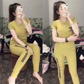 Bộ coton mịn đẹp 0985431