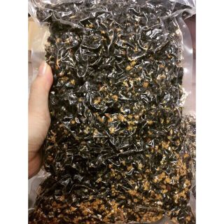 RONG BIỂN CHÁY TỎI KG
