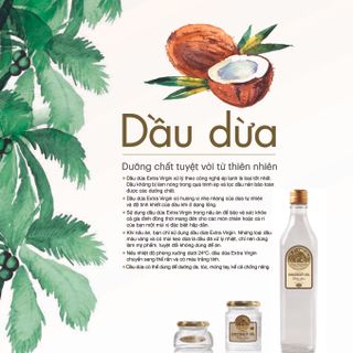 Dầu dừa tinh khiết ép lạnh Fire Phoenix 100ml BÁN BUÔN - BÁN SỈ
