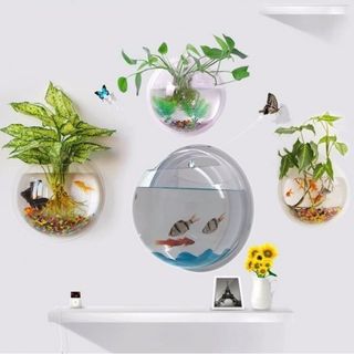 Bể cá treo tường AQUARIUS - 23.5cm