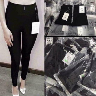 Quần trengging - Quần legging