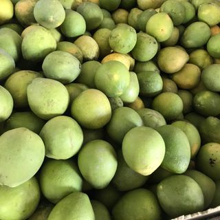 BƯỞI 5 ROI KHÔNG HẠT