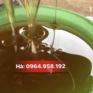 Mật ong xịn giá rẻ