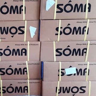 Men vi sinh xử lý đáy Soma