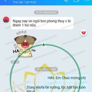BỘT THẢO DƯỢC PHONG THỦY ALOFA