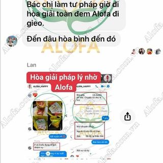 BỘT THẢO DƯỢC PHONG THỦY ALOFA