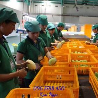 Sóng nhựa đựng hàng hóa trái cây giá rẻ