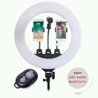 ĐÈN LIVESTREAM 45CM