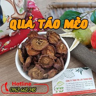 Thảo Dược Thanh Bình