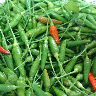 Ớt Xiêm Rừng Ngâm