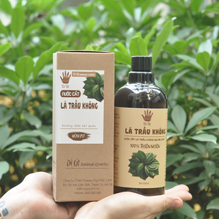 Tinh chất lá trầu không - Nước cất lá trầu không Dì Út