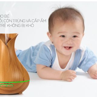 Máy Khuếch Tán Tinh Dầu Lọ Hoa 550ml