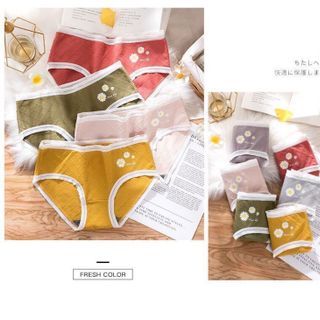 Quần cotton hoa cúc 86080