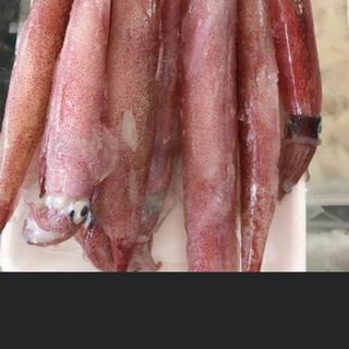 Mực trứng đỏ