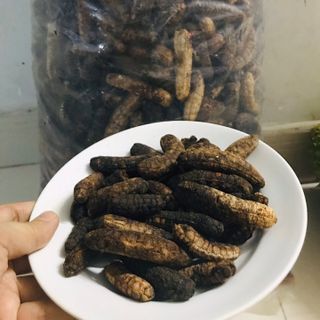 Chuối hột rừng